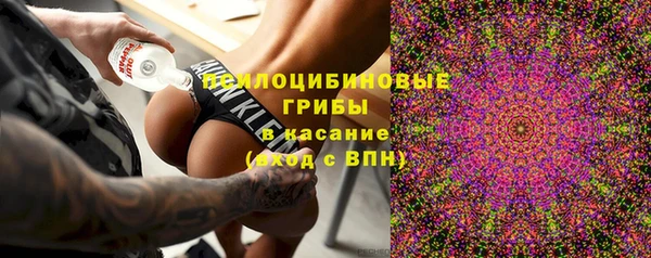 винт Баксан