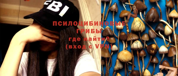 винт Баксан