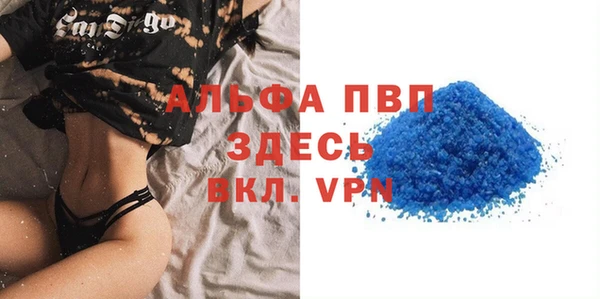 прущие грибы Вязьма